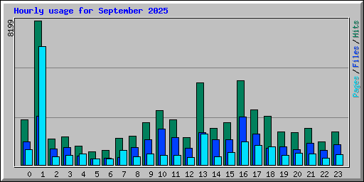 Hourly usage for September 2025